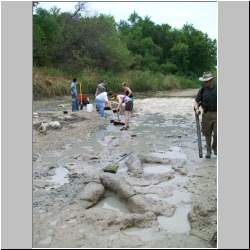 100_0149 (2009-24-07).JPG